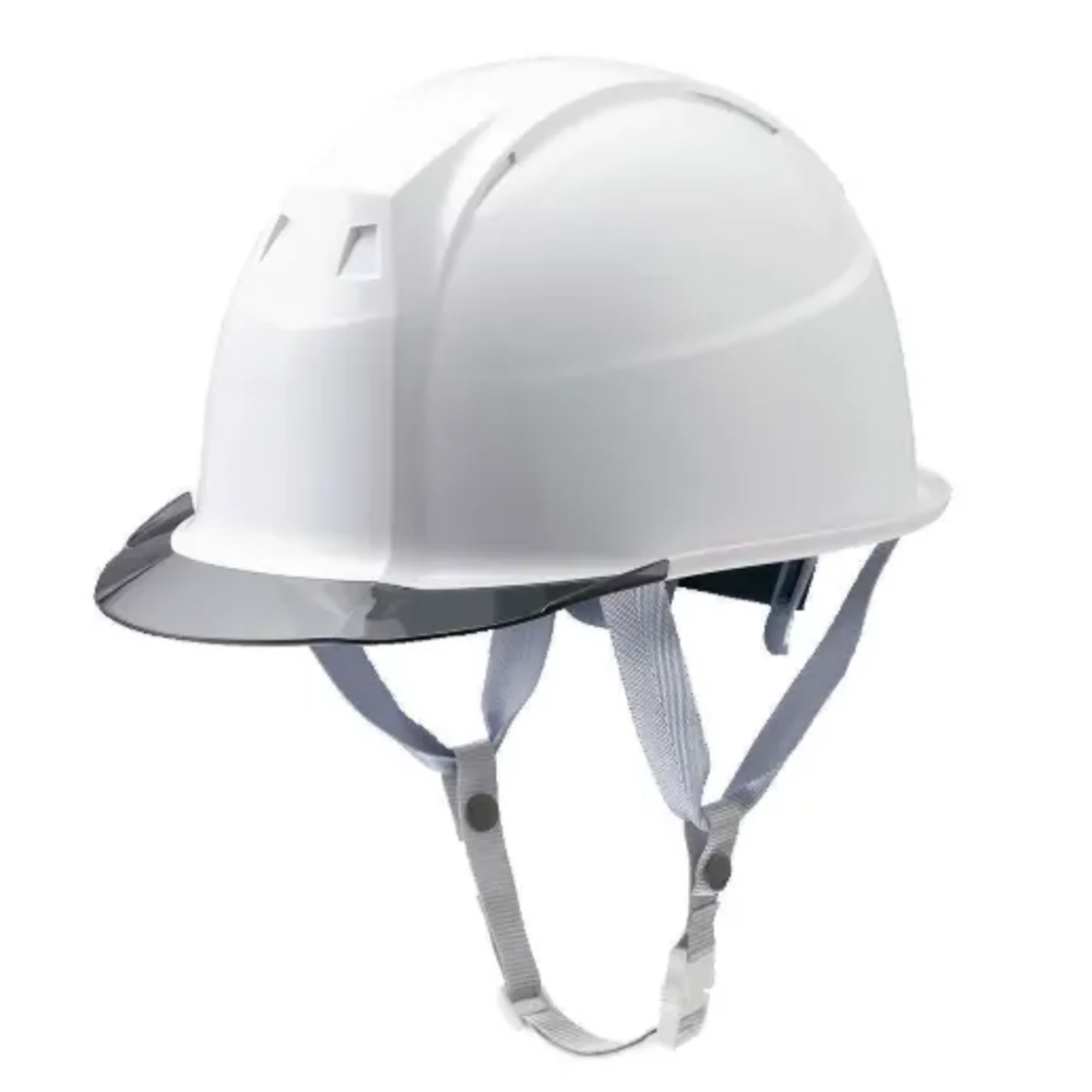 ミズノ F3JPHZ1D0109FL 産業用ヘルメットFT01（スモークバイザー・墜落時保護用樹脂ライナー）（受注生産）