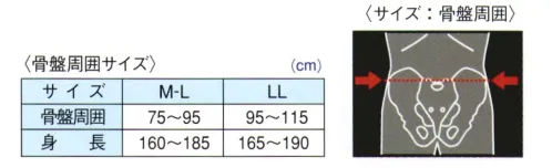 ミズノ F3JKB90109 腰部骨盤ベルト 上半身帯付きタイプ 骨盤の固定、しゃがみこみ作業の背中の負担を軽減背中に配置されたゴムの弾力性によって広背筋をサポート※この商品はご注文後のキャンセル、返品及び交換は出来ませんのでご注意下さい。※なお、この商品のお支払方法は、先振込(代金引換以外)にて承り、ご入金確認後の手配となります。 サイズ／スペック