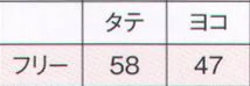 ナガイレーベン TA-10550 撥水エプロン（2枚組） 薄いブルーの布は、水滴を吸収して組織内にためる加工、濃い方には撥水加工がしてあります。濃いブルーを裏にしてご使用下さい。歯科用にもなります。 サイズ／スペック