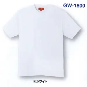 天竺半袖Ｔシャツ