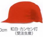 キッズ・園児キャップ・帽子N-744 