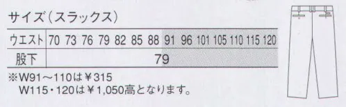 大川被服 70505 スラックス（K70505） 究極のユニフォームでありたい。“寛斎の美学”が存在感を放つ。“KANSAI”は働く事にポジティブさを求めてきた。ファッションブランドとして磨き上げた完成は、素材へのこだわり、ディティールの精度、洗練されたスタイリングなどを融合させる。働くエグゼクティブへ贈る“寛斎クオリティ”としての仕事着への美学が宿る。クールなスタイリングと機能で接客時に差が付くワークウェア。“好感の持てるデザイン、カラー”をコンセプトに開発。男女共にご着用いただけるようアール使いのディテールで、力強さとやさしさを表現する。 サイズ／スペック