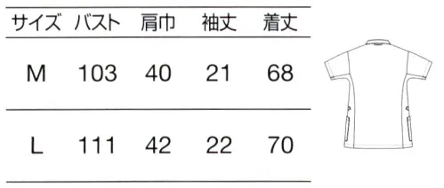 オンワード HS-8070 サイドファスナースクラブ（マタニティ） 快適マタニティユニフォーム快適に着られる工夫をほどこしながら、美しいシルエットもキープ。ラフィ―リアの人気シリーズにマタニティウェアを追加することで、院内の統一感を損なわず、チームの一員としての意識もそのままに。■ポイント・前面はゆったり、背面はすっきり。ラクに着られて、後ろ姿をきれいに見せる設計です。 サイズ／スペック