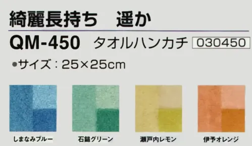神藤タオル 030450 タオルハンカチ 綺麗長持ち 遥か サイズ／スペック