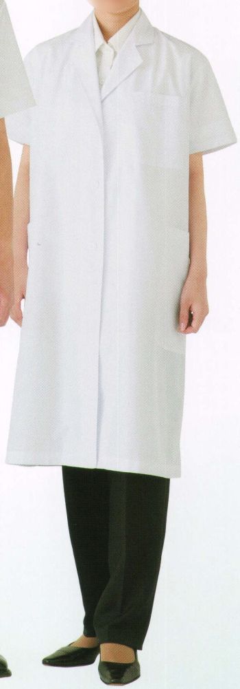 厨房・調理・売店用白衣 半袖白衣 サカノ繊維 SER1350 女子シングル半袖（受注生産） 食品白衣jp
