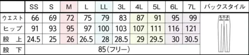 セロリー S-51700 パンツ S-51700 パンツ素肌に溶け込む。これまでよりもっと軽く、なめらかに。驚くほど軽やかでストレスフリーな着心地を実現。高機能な4種の糸を使い、奥行きのあるストライプ柄を表現しました。特徴●ストレッチ性、吸水速乾性を兼ね備えた糸を使用●環境に配慮した再生ポリエステル糸を使用●織物の様なストライプ柄を表現したオリジナル素材●軽やかで滑らかな質感が特徴●見た目はフラットなスマートゴムで腰回りをキレイに快適フィット！●体型を自然にカバーしながら、美しさと動きやすさを両立※この商品は股下フリーのため、着用するには丈詰めが必要です。※21、23号は受注生産になります。※受注生産品につきましては、ご注文後のキャンセル、返品及び他の商品との交換、色・サイズ交換が出来ませんのでご注意くださいませ。※受注生産品のお支払い方法は、前払いにて承り、ご入金確認後の手配となります。仕様品番:S-51700品名:パンツ サイズ／スペック