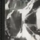 サンエス EF92690N ハイブリッドクールショートスリーブジャケット（ウェア単体）