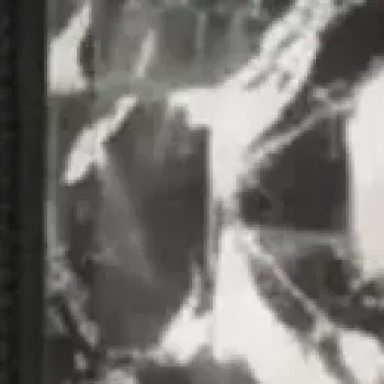 サンエス EF92690N ハイブリッドクールショートスリーブジャケット（ウェア単体）