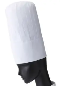 サーヴォ SV1 コック帽