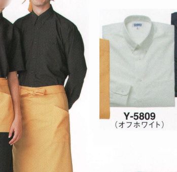 サーヴォ Y-5809 長袖シャツ 幅広いワークシーンに映える、定番のベーシックシャツ。