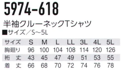 寅壱 5974-618 半袖クルーネックTシャツ ※リミテッド商品の為、無くなり次第終了となります。クールに着られて高い安全性。無縫製圧着タイプの胸ポケットが斬新。・接触冷感があり、吸汗速乾にすぐれた素材・デザインポイントは反射ロゴプリントを施した胸ポケット・脇下はメッシュ素材のトリカット仕様 サイズ／スペック