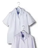 傳馬屋 4302 女子角衿調理服 半袖