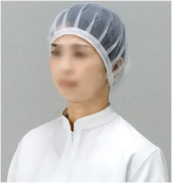 クリーンウェア キャップ・帽子 東洋リントフリー 802004 ヘアーネットW500（10枚入） 食品白衣jp