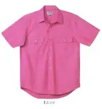 男女ペア半袖シャツ1515 