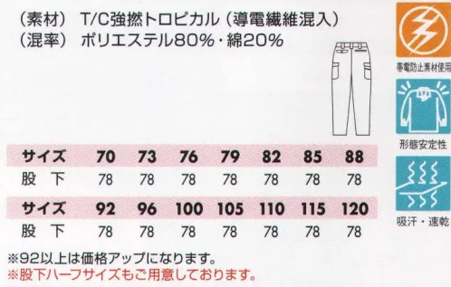 TS DESIGN 7103 カーゴパンツ 710SERIES  SCUTUM  HARD WORK  INTELIGENT ワーカーの能力を開花させる新世代ウェア。べとつきがなく、着心地がとても爽やか。通気性がよく、いつもサラッとした快適な肌触りが得られます。「元祖ベーシックユニフォーム」。アイテム・色も充実に揃え、あらゆるワーカーにふさわしい快適さ。 サイズ／スペック