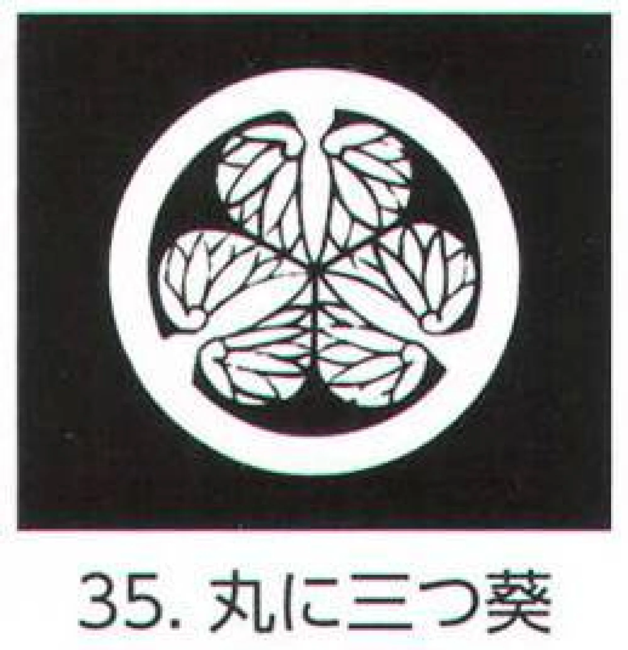 氏原 5561-35 貼紋 丸に三つ葵（6枚組) 6枚組です。男・女ございますので、ご指定ください。※この商品はご注文後のキャンセル、返品及び交換は出来ませんのでご注意下さい。※なお、この商品のお支払方法は、先振込（代金引換以外）にて承り、ご入金確認後の手配となります。