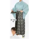 祭り用品jp 踊り袴・女袴・たっつけ袴 袴 氏原 5588 舞踊袴 福印
