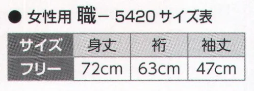 氏原 5420 半襦袢 職印（夏用/女性用） ※この商品はご注文後のキャンセル、返品及び交換は出来ませんのでご注意下さい。※なお、この商品のお支払方法は、先振込（代金引換以外）にて承り、ご入金確認後の手配となります。 サイズ／スペック