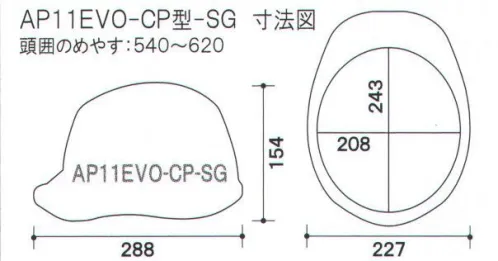 ワールドマスト　ヘルメット AP11EVO-CP-SG AP11EVO-CP-SG型 ヘルメット（通気孔なしタイプ） DIC AP11EVO-CP型-SG（AP11-C型HA6E-A11式）重量/395g●製品仕様●・飛来落下物・堕落時保護・電気用・パット付・ラチェット式最上級を超える進化へ最先端の革新的な技術を惜しみなく投入し、DIC HELMET史上最強のシリーズがさらに進化。あらゆるシーンで最高のパフォーマンスを発揮。■すべてが新発想の快適新内装システム・上下に調節可能な可変式アジャスタは、より快適なサポート位置で確実なホールド感を得られます。・可変式アジャスターにロック機能を新搭載。快適な位置に固定することによりホールド感・安定感が向上。（特許出願中）■より快適な被り心地新構造ハンモックを採用■独自の開発技術で、大幅な軽量化シールド機構を全面刷新、帽体も肉厚などを徹底的に見直し、強度を落とすことなく大幅な軽量化を実現しました。※スケルトングリーン以外の特別カラーをご希望の場合、一定数以上のご注文に限り、別注にて承ります。（一部専売カラーは対応できません。）※この商品はご注文後のキャンセル、返品及び交換は出来ませんのでご注意下さい。※なお、この商品のお支払方法は、先振込（代金引換以外）にて承り、ご入金確認後の手配となります。 サイズ／スペック