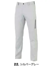 22 シルバーグレー