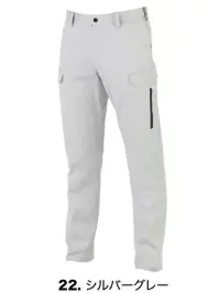 22 シルバーグレー