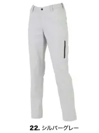 22 シルバーグレー