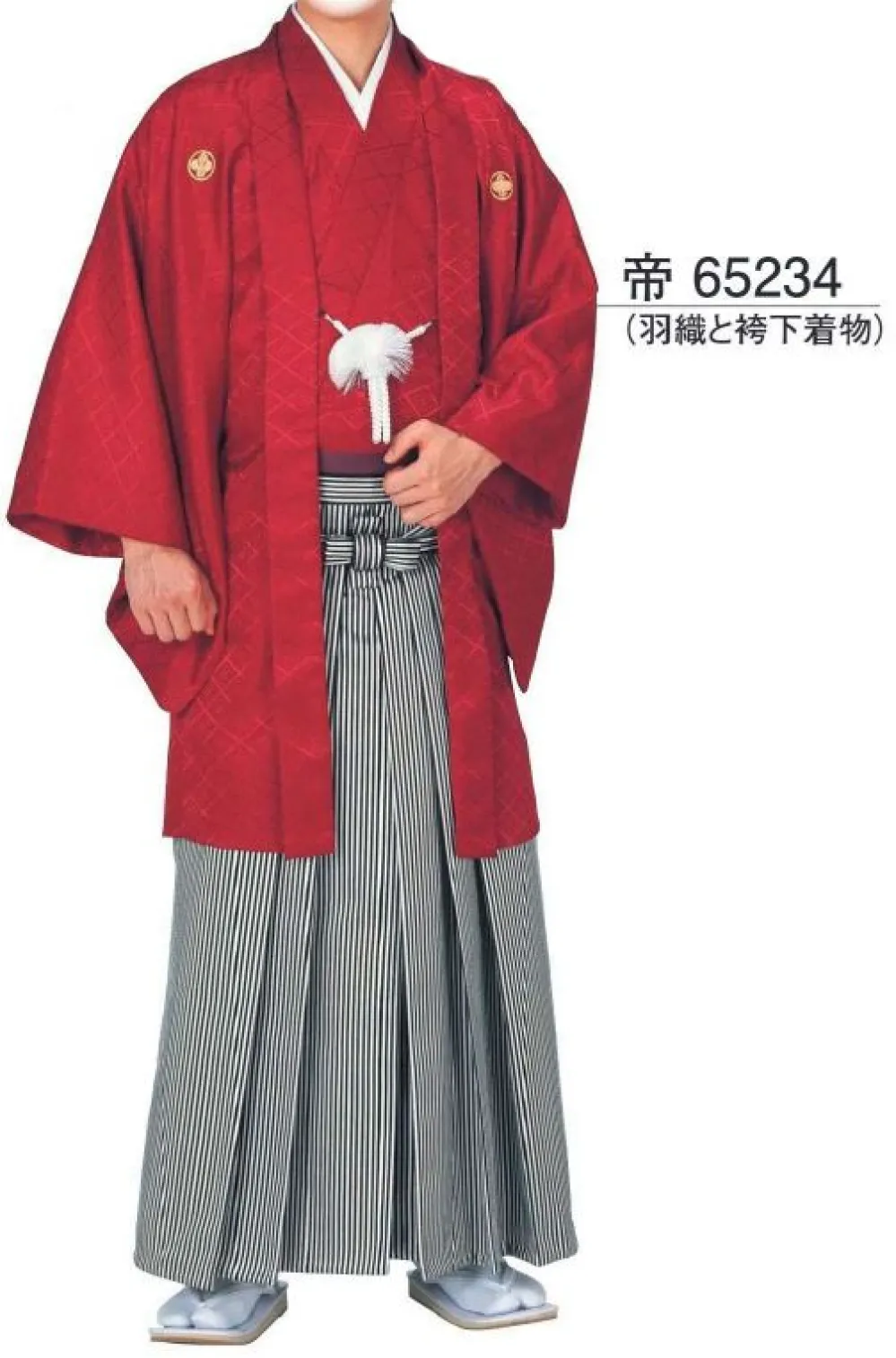 綸子羽織と袴下着物セット（あわせ仕立）帝印 東京ゆかた 65234 祭り