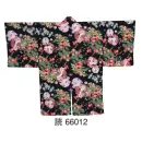 祭り用品jp 踊り袴・女袴・たっつけ袴 きもの 東京ゆかた 66012 袴下着物 読印
