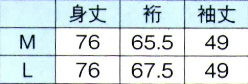 東京ゆかた 64612 男物半襦袢 全印 ※この商品の旧品番は「24542」です。替衿をご用命の場合はお問合せください。（別価格）※この商品はご注文後のキャンセル、返品及び交換は出来ませんのでご注意下さい。※なお、この商品のお支払方法は、先振込（代金引換以外）にて承り、ご入金確認後の手配となります。 サイズ／スペック